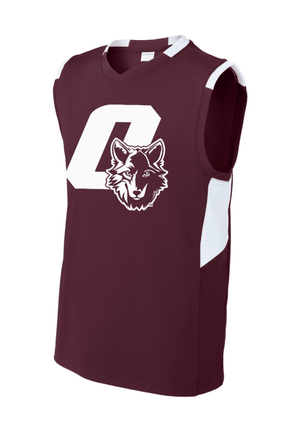 Custom Printed Apparel | Youth Sleeveless V-Neck | Cornell Elementary - Cornell - 19720
