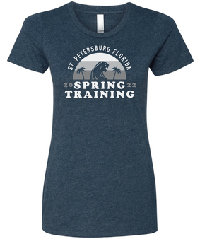 Custom Apparel - Screen Printing - DEWITT BASEBALL - ST SUNSET WOMEN'S T - SHIRT - DeWitt Baseball