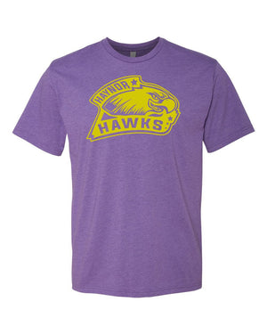 Custom Apparel - Screen Printing - Haynor Hawks - Purple Rush T-Shirt - T-Shirt - Haynor Hawks