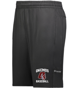 Custom Apparel - Screen Printing - Okemos Baseball - Spring Training Pack - Okemos Baseball FL Trip