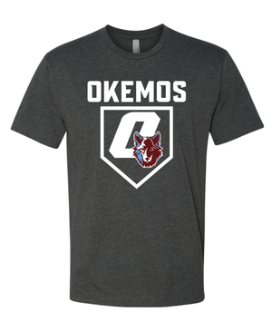 Custom Apparel - Screen Printing - Okemos Baseball - Unisex Charcoal T-Shirt - Okemos Baseball FL Trip