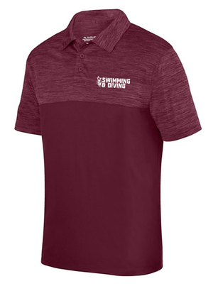 Custom Apparel - Screen Printing - Okemos Swim & Dive - Polo - Okemos Swim & Dive 2022